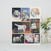 Real (not AI) White Cat Images from Victorian Era (スタンド正面)