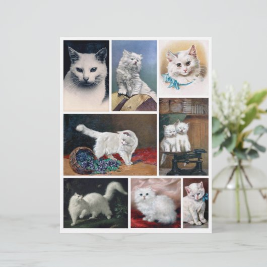 Real (not AI) White Cat Images from Victorian Era (スタンド正面)