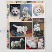 Real (not AI) White Cat Images from Victorian Era (正面/裏面)