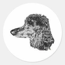 Realistic Dog Sticker – Detailed Head Portrait