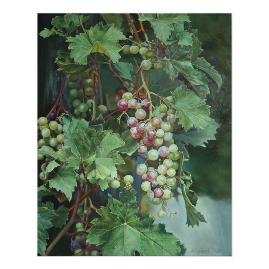 Realistic Grape Vine with Leaves – Fine Art ポスター (正面)