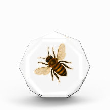 Realistic Honey Bee Design