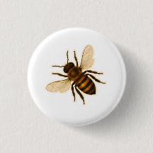 Realistic Honey Bee Design