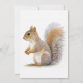 Realistic Squirrel Portrait 招待状 (正面)