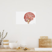 Realitic rendering of the human brain ポスター (キッチン)