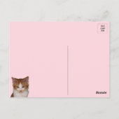 Reba's Catutitudeはがき ポストカード (裏面)