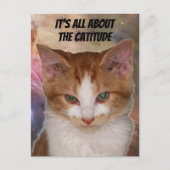 Reba's Catutitudeはがき ポストカード (正面)