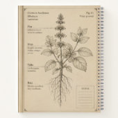 recetario botanico ノートブック (裏面)