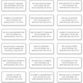 Recipient Name 18 Shipping Large Address Labels シール (正面)