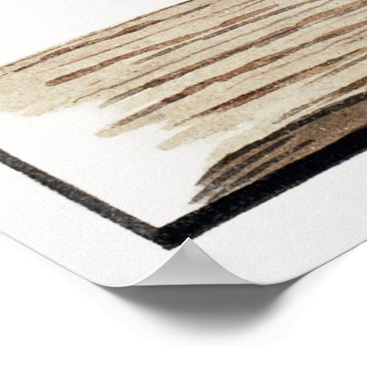 Recto Diceros bicornis：黒サイ ポスター (角)