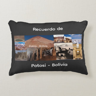 Recuerdo de Potosi Bolivia アクセントクッション