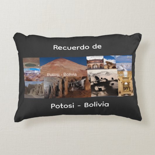 Recuerdo de Potosi Bolivia アクセントクッション (正面)