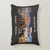 Recuerdo de Potosi Bolivia アクセントクッション (正面(垂直))