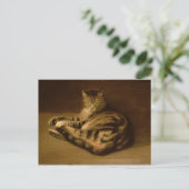 Recumbent Cat, 1898 ポストカード (スタンド正面)