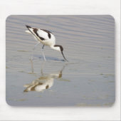 Recurvirostra avosetta マウスパッド (正面)