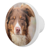 Red セラミックノブ (右)