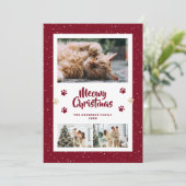 Red 3 Photo Snow Paws Meowy Christmas Card シーズンカード (スタンド正面)