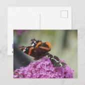 Red AdmiralとマダラチョウのDIYポストカード シーズンポストカード (正面/裏面)