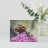 Red Admiral and Map Butterfly DIY Postcard シーズンポストカード (スタンド正面)