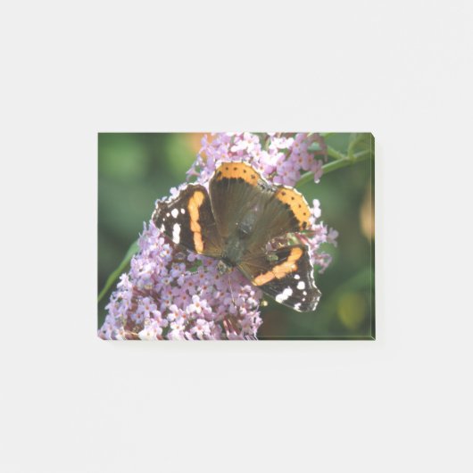 Red Admiral ButterflyとBudleia Post it notes ポストイット (正面)