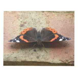 Red Admiral Butterflyメモ帳 ノートパッド