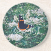 Red Admiral Butterfly コースター (正面)