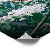 Red Admiral Butterfly ポスター (角)