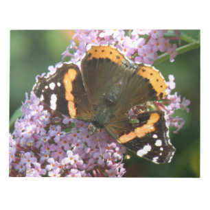 Red Admiral Butterfly and Budleiaメモ帳 ノートパッド