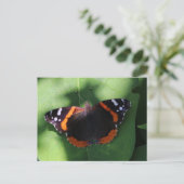 Red Admiral Butterfly on Green Leaves  ポストカード (スタンド正面)