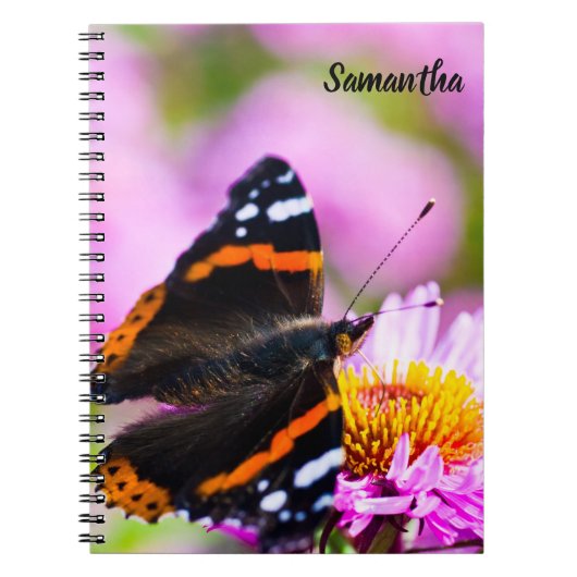 Red Admiral Butterfly Spiral notebook ノートブック (正面)