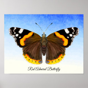 Red Admiral Butterfly Watercolor Painting Poster ポスター