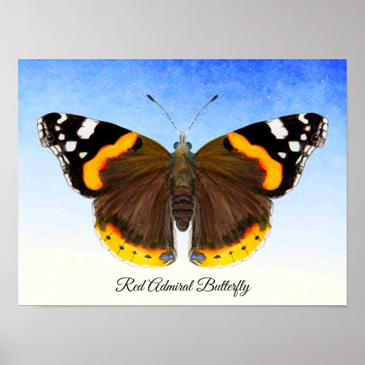 Red Admiral Butterfly Watercolor Painting Poster ポスター (正面)