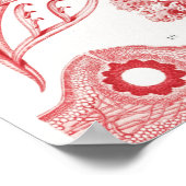 Red Alga Sea, Florideae Rotalgen by Ernst Haeckel ポスター (角)