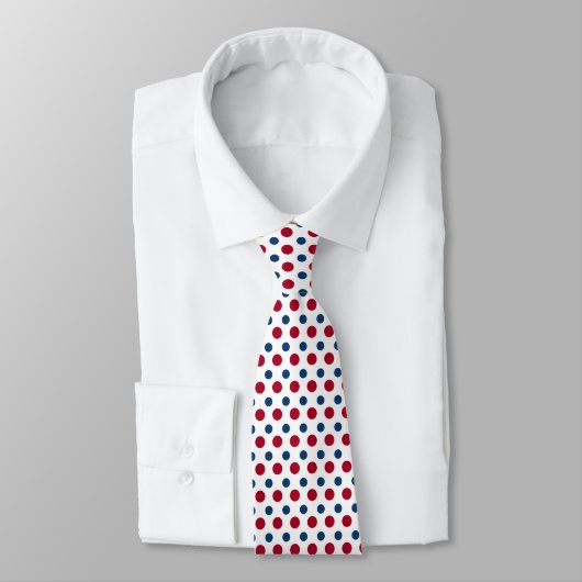 Red and Blue Polka Dots Pattern Neck Tie ネクタイ (タイ)