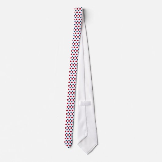 Red and Blue Polka Dots Pattern Neck Tie ネクタイ (裏面)