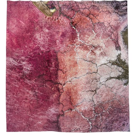 Red and brown abstract painting シャワーカーテン (正面)