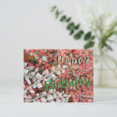 Red and Green Leaves Cust. Happy Birthday Postcard シーズンポストカード (スタンド正面)