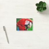 Red-and-green Macaw ポストイット (オフィス)