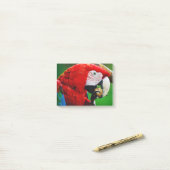 Red-and-green Macaw ポストイット (デスク上)