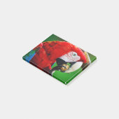 Red-and-green Macaw ポストイット (アングル)