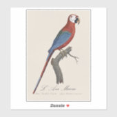 Red-and-green Macaw, Ara chloropterus シール (シート)