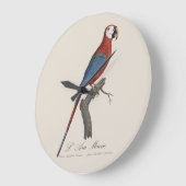 Red-and-green Macaw, Ara chloropterus ラージ壁時計 (傾斜)