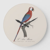 Red-and-green Macaw, Ara chloropterus ラージ壁時計 (正面)