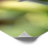 Red and Orange Alstroemeria Flowers ポスター (角)