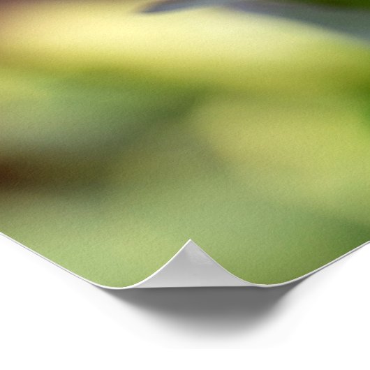 Red and Orange Alstroemeria Flowers ポスター (角)