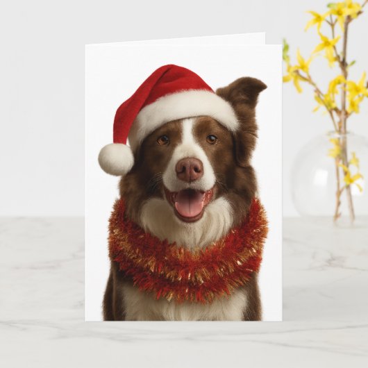 Red and white Border Collie Christmas card カード (黄色い花)