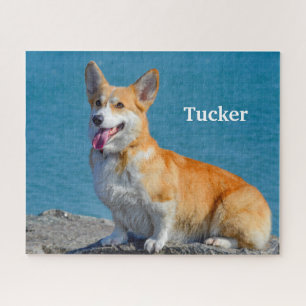 Red and White Pembroke Welsh Corgi Puppy Dog Jigsa ジグソーパズル