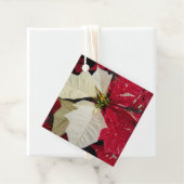 Red and White Variegate Poinsettia Holiday フェイバータグ (インサイチュ)