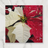 Red and White Variegate Poinsettia Holiday フェイバータグ (正面)