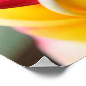 Red and Yellow Plumeria Flowers 3 ポスター (角)